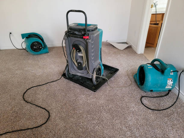 Best Carpet water damage restoration  in Jermyn, PA