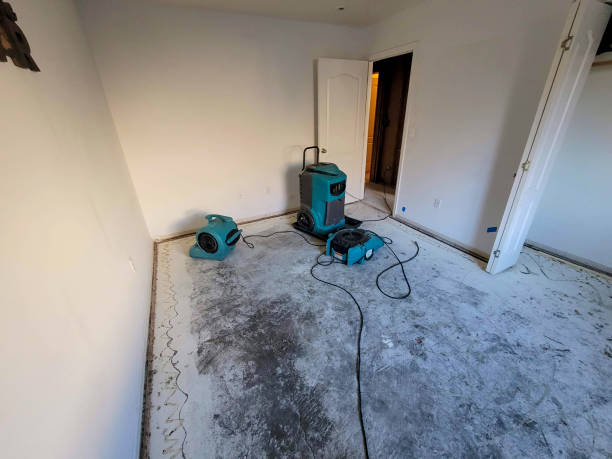 Best Fire Damage Restoration  in Jermyn, PA