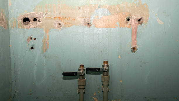 Best Sewage cleanup and water damage restoration  in Jermyn, PA